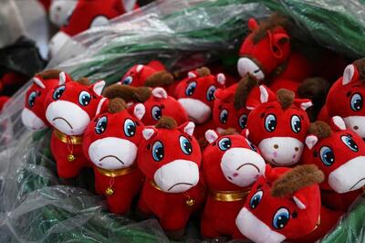  دیدنی های امروز؛ از عروسک های غمگین چینی تا یخ زدن دریای بالتیک