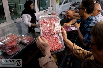 کاهش قیمت گوشت قرمز در بازار امروز + قیمت رسمی