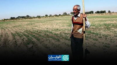 کشاورزی در تله سرمایه و روش‌های سنتی