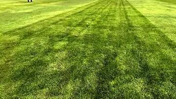 استقلال - شمس آذر؛ یک ساعت تاخیر به خاطر ورزشگاه، فوتبال و خواست دو تیم بود یا یا تلویزیون و کشتی؟