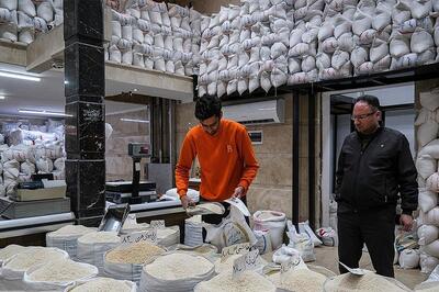 پایان یک ممنوعیت طولانی؛ برنج پاکستانی وارد بازار شد