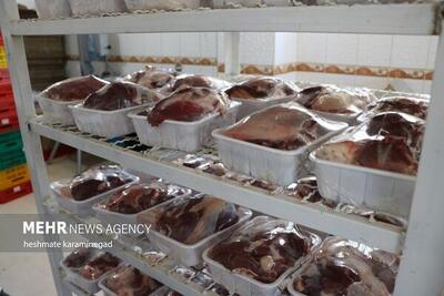 کاهش قیمت گوشت ادامه دارد