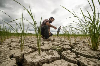 کشاورزی در تله سرمایه و روش‌های سنتی | مسئله فقط کمبود منابع نیست