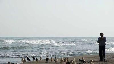 وزش باد شدید و ارتفاع موج تا ۱.۸ متر در دریای خزر؛ هشدار نارنجی  صادر شد