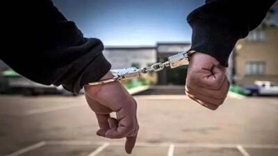 استرداد متهم کلاهبردار فراری با همکاری اینترپل به کشور