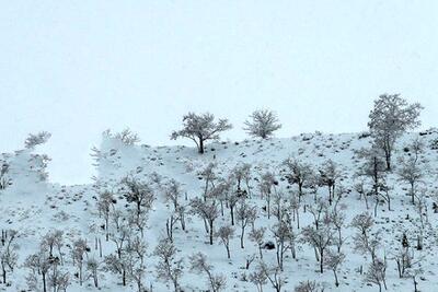  گچساران برفی / زیبایی زمستان در روستای گناوه لری