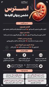  استرس؛ دشمن پنهان کلیه‌ها