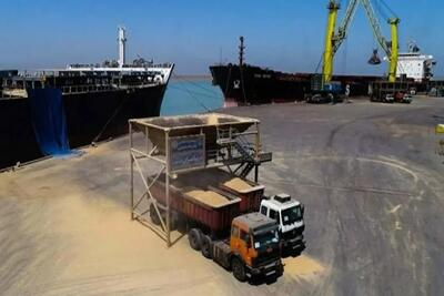 واردات محصولات کشاورزی تا پایان سال بلامانع است