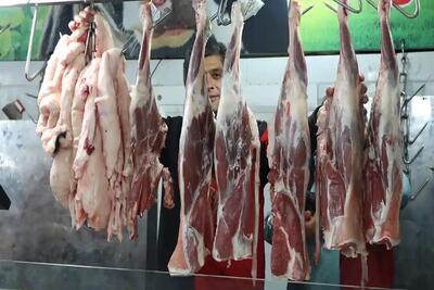 واردات گوشت قرمز گرم از روسیه و پاکستان