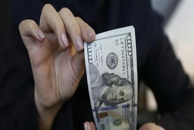 حذف ارز چند نرخی منجر به رقابت‌پذیری در صادرات و رونق تولید می‌شود