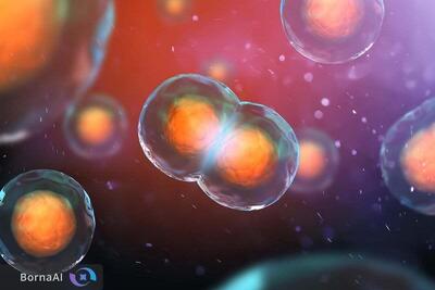  کشف ساختار پنهان DNA که حتی هنگام تقسیم سلول هم از بین نمی‌رود