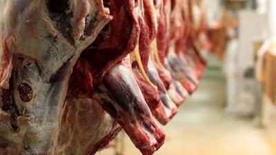  دریایی از گوشت در راه ایران