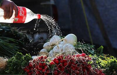  تصاویر؛ جمعه بازارِ چالوس