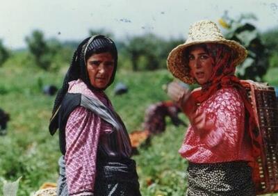  جای خالی فیلم سازان زن آزار دهنده است