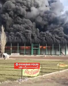  تصویری از شدت آتش سوزی سردخانه ای در اردبیل + فیلم