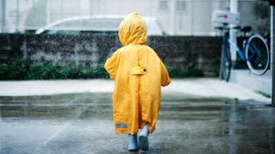  وضعیت هوای فردا بوشهر شنبه ۱۸ بهمن ۱۴۰۴ | پیش بینی آب و هوای بوشهر در ۲۴ ساعت آینده + هواشناسی بوشهر