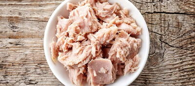  آیا خوردن روزانه ماهی تُن بی‌خطر است؟