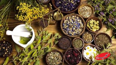  مصرف خودسرانه فرآورده‌های گیاهی خطرناک است  - کلبه سرگرمی