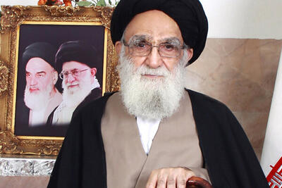  تسلیت سخنگویان ارتش و سپاه در پی درگذشت آیت‌الله محمودی گلپایگانی