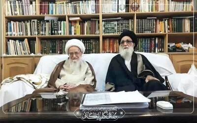  خدمات ارزنده آیت‌الله محمودی برگی زرّین در زندگی آن عالم والامقام است