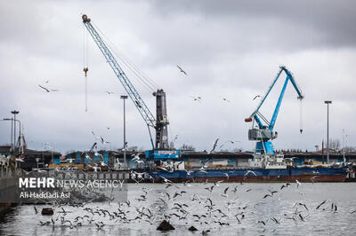  چرا مناطق آزاد از مسیر توسعه منحرف شدند؟