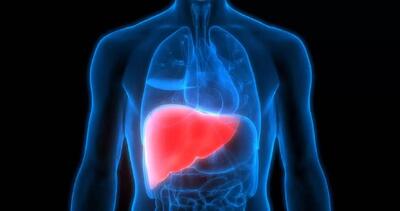  مهم ترین عامل نابودی کبد چیست؟