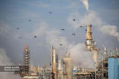  روایت ۴۷ ساله؛ صنعت پتروشیمی چگونه موتور اقتصاد غیرنفتی شد؟