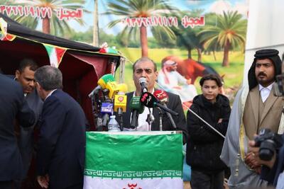  قطعی برق ۶ ساعته و بی‌آبی، نفس کشاورزان دهلران را بریده است