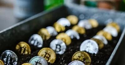  فعالین بازار ارزهای دیجیتال شوکه شدند