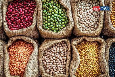  معوقات 6 ماهه بانک مرکزی به واردکنندگان حبوبات حدود 100 میلیون یورو است
