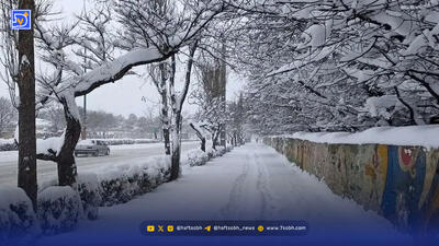  اطلاعیه مهم هواشناسی استان تهران/ برف و باران بی سابقه در راه پایتخت