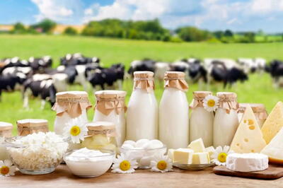  چه عواملی در گرانی قیمت لبنیات نقش دارند؟