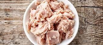  مصرف زیاد تن ماهی چه عوارضی در بدن ما دارد؟