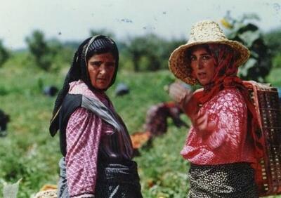  جشنواره فیلم فجر؛ جای خالی فیلم سازان زن آزار دهنده است