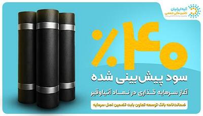  فرصت مشارکت در پروژه‌های پتروشیمی با سود پیش بینی شده۴۰٪ و ضمانت اصل سرمایه با ضمانت‌نامه بانک توسعه تعاون