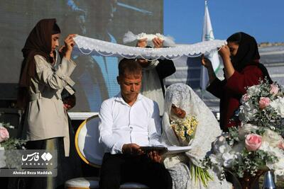  جشنواره گل نرگس کازرون