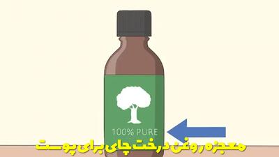  معجزه روغن درخت چای برای جوانی و زیبایی پوست + خواص و نحوه استفاده