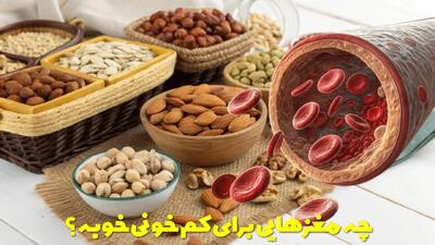  چه مغزهایی برای کم خونی خوبه؟ بهترین آجیل برای کم خونی