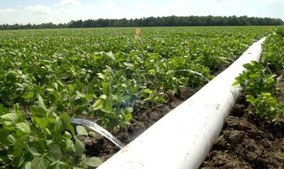  صرفه‌جویی سالانه ۹۶ میلیون مترمکعب آب با طرح لوله‌کشی در قزوین