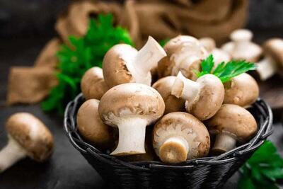  اعلام قیمت انواع قارچ