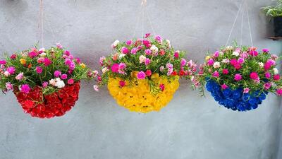  ایده ای خلاقانه: تبدیل بطری های پلاستیکی به سبد گل و آموزش کاشت رز
