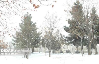  بارش باران و برف در کشور/ شدت بارش‌ها در این مناطق