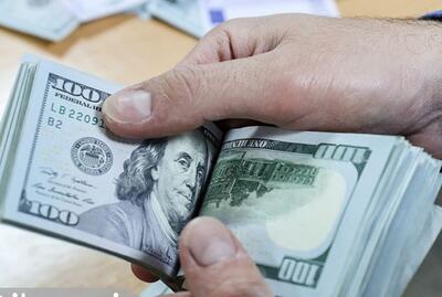  آخرین قیمت دلار بازار آزاد امروز شنبه ۱۸ بهمن ۱۴۰۴ /مذاکرات فعال و دلار ارزان شد! + جدول