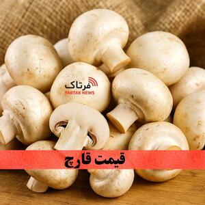  قیمت قارچ در تهران؛ از دکمه‌ای تا شاه‌صدفی