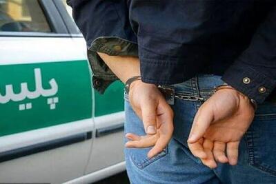  سارقان حرفه‌ای به دام افتادند