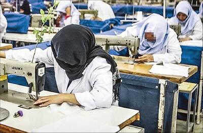  فعالیت ۵ هزار گروه همیار توانمندسازی زنان سرپرست خانوار