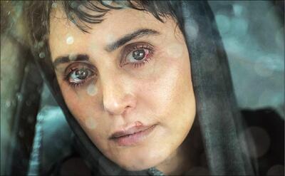  «آرامبخش» ایده‌ای جسورانه و مسئله‌محور