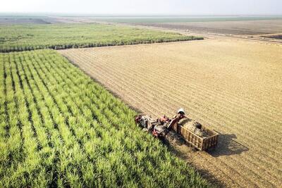  توسعه کشاورزی با انقلاب عدالت سرزمینی