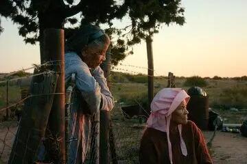  معرفی برندگان جشنواره روتردام ۲۰۲۶