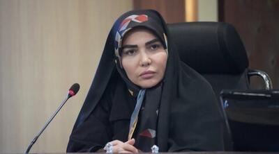  تأمین روشنایی معابر وبوستان ها نیازمند ایفای مسئولیت دستکاه های ذی ربط است